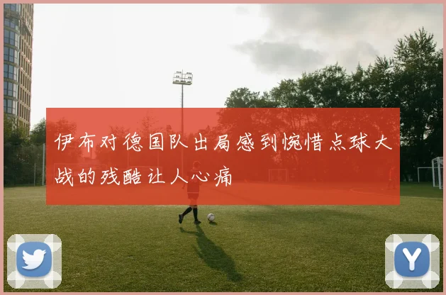 伊布对德国队出局感到惋惜点球大战的残酷让人心痛